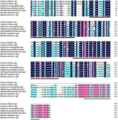 The regulation of inhibitor of apoptosis proteins (IAPs) during the apoptosis of Cotesia chilonis